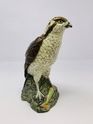 BENEAGLES OSPREY DECANTER 13 1/2 FL OZ 70% PROOF BENEAGLES OSPREY DECANTER 13 1/2 FL OZ 70% PROOF
