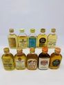 10 X WHISKY MINIATURES (FLATS) 10 X WHISKY MINIATURES (FLATS)
