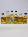 6 X WHISKY MINIATURES 