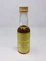 GLENGOYNE MALT SCOTCH WHISKY MINIATURE GLENGOYNE MALT SCOTCH WHISKY MINIATURE