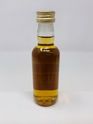 GLENGOYNE 1982 10 YEAR OLD - FIRST BOTTLING MINIATURE GLENGOYNE 1982 10 YEAR OLD - FIRST BOTTLING MINIATURE