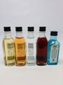 ASSORTED GIN MINIATURES