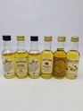 6 X WHISKY MINIATURES 