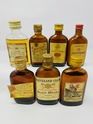 7 X WHISKY MINIATURES 7 X WHISKY MINIATURES