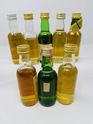 8 X WHISKY MINIATURES 8 X WHISKY MINIATURES
