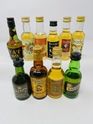 10 X WHISKY MINIATURES 10 X WHISKY MINIATURES