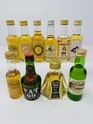 10 X WHISKY MINIATURES 10 X WHISKY MINIATURES