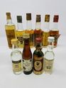 10 x RUM MINIATURES