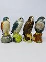 BENEAGLES BIRDS OF PREY BENEAGLES BIRDS OF PREY