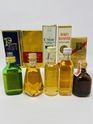 5 X WHISKY MINIATURES 5 X WHISKY MINIATURES