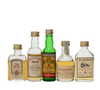 5 X WHISKY MINIATURES 5 X WHISKY MINIATURES
