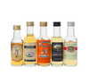 5 X WHISKY MINIATURES 5 X WHISKY MINIATURES