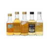 5 X WHISKY MINIATURES 5 X WHISKY MINIATURES