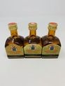 3 X GRAN DYC WHISKY LIQUEUR 3 X GRAN DYC WHISKY LIQUEUR