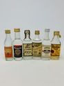 6 X ASSTD TEQUILA MINIATURES 6 X ASSTD TEQUILA MINIATURES