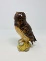 WHYTE & MACKAY SHORT EARED OWL 20CL WHYTE & MACKAY SHORT EARED OWL 20CL