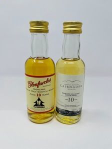 2 X 10 YEAR OLD MINIATURES