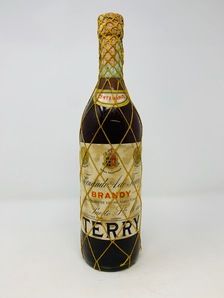 BRANDY TERRY BRANDY TERRY