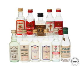 VODKA & GIN MINIATURES VODKA & GIN MINIATURES