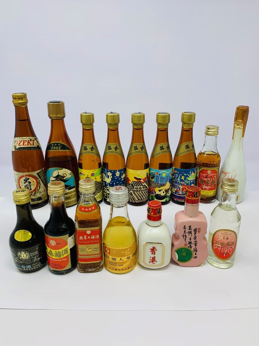 16 MIXED JAPANESE/CHINESE MINIATURES