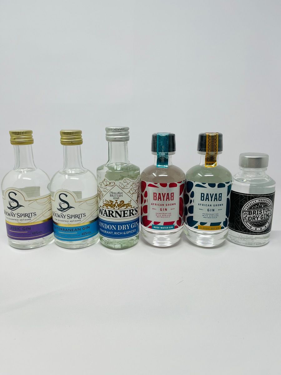 ASSORTED GIN MINIATURES