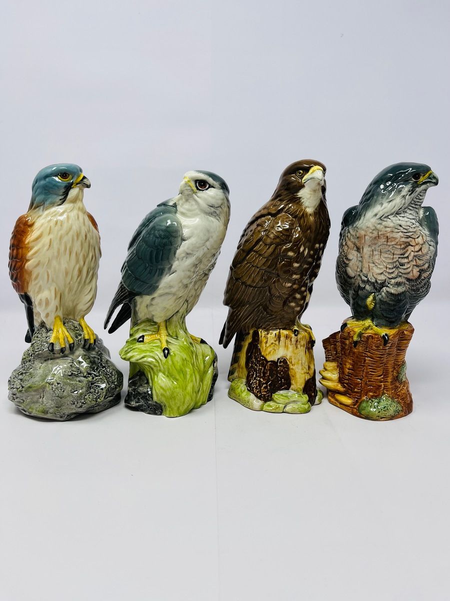 BENEAGLES BIRDS OF PREY